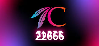22666.com