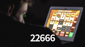 22666