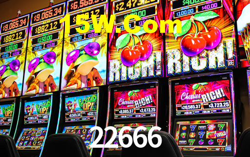 22666.com